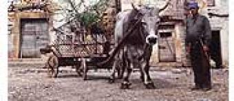 PROPERTY IN ISTRIA Porec